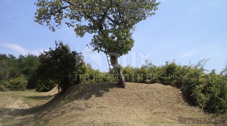 ISTRIA, KAROJBA - Complesso di terreni edificabili e agricoli. OPPORTUNITÀ!