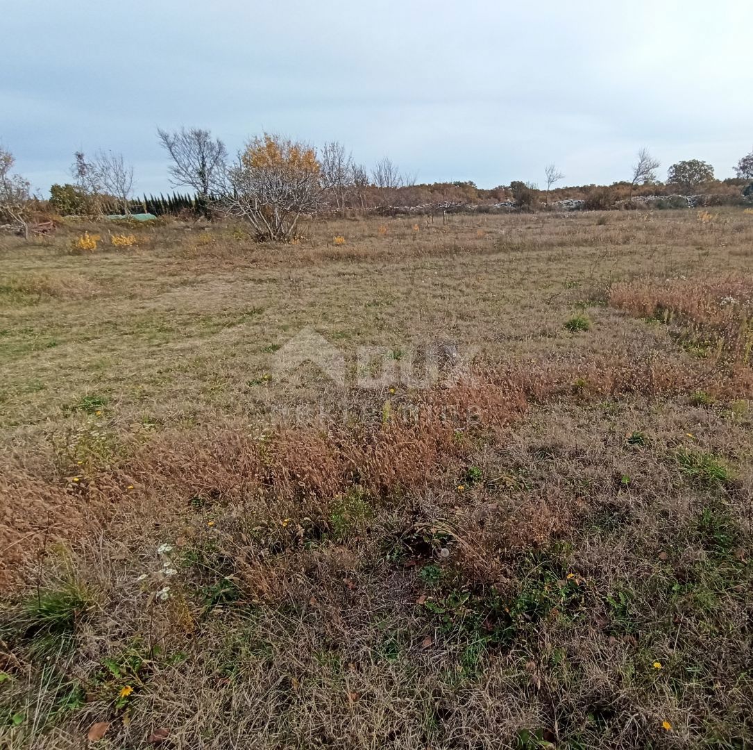 ISTRIA, ŠTOKOVCI - Bel terreno edificabile di 700 m2