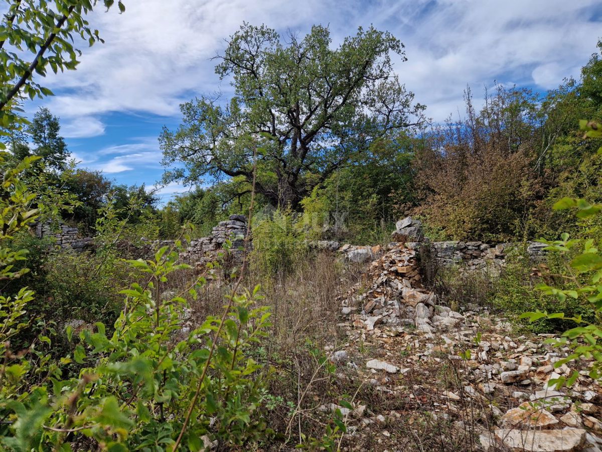 ISTRIA, SVETVINČENAT - Casa in rovina su un terreno di 2,1 ha