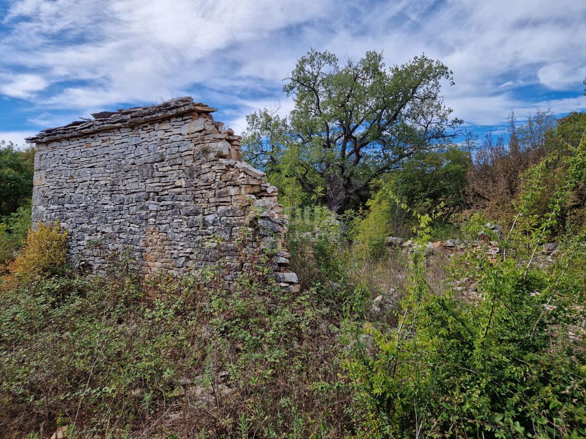 ISTRIA, SVETVINČENAT - Casa in rovina su un terreno di 2,1 ha