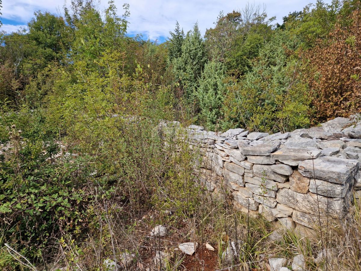 ISTRIA, SVETVINČENAT - Casa in rovina su un terreno di 2,1 ha