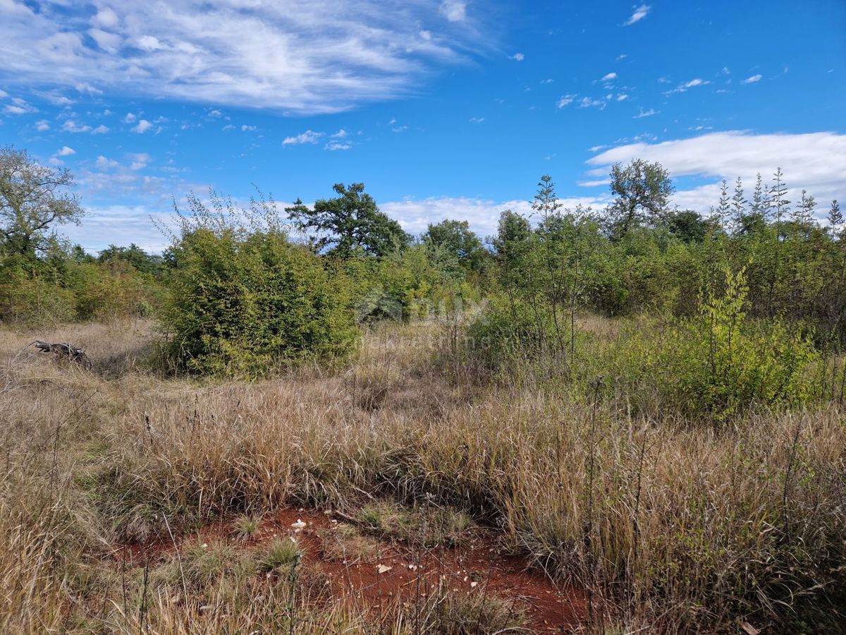 ISTRIA, SVETVINČENAT - Casa in rovina su un terreno di 2,1 ha