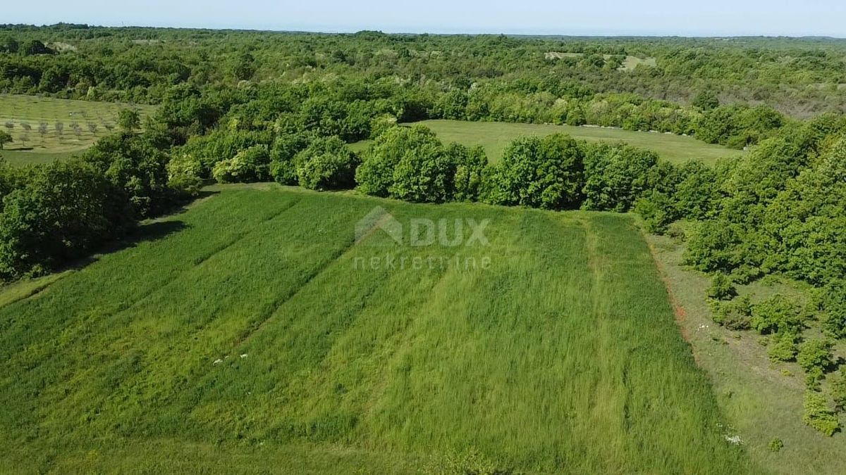 ISTRIA, SVETVINČENAT - Piano terra con vista sul verde! OPPORTUNITÀ!