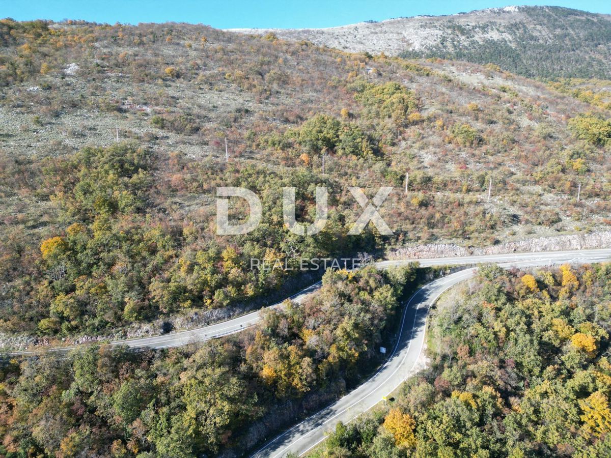 OPATIJA, BRSEČ, PLOMIN - terreno agricolo 55000m2 con vista panoramica sul mare 