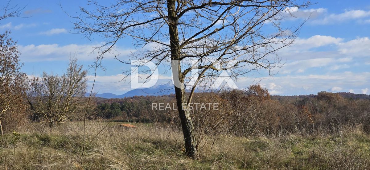 ISTRIA, PAZIN - Ampio terreno edificabile ai margini del paese