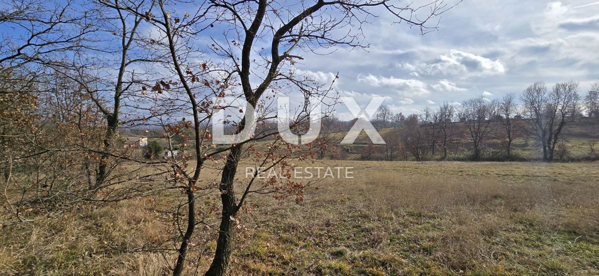 ISTRIA, PIĆAN - Ampio complesso terreno di 7580 mq