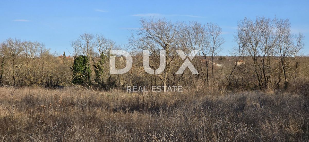 ISTRIA, BALE - Ampio terreno edificabile, ideale per investimento