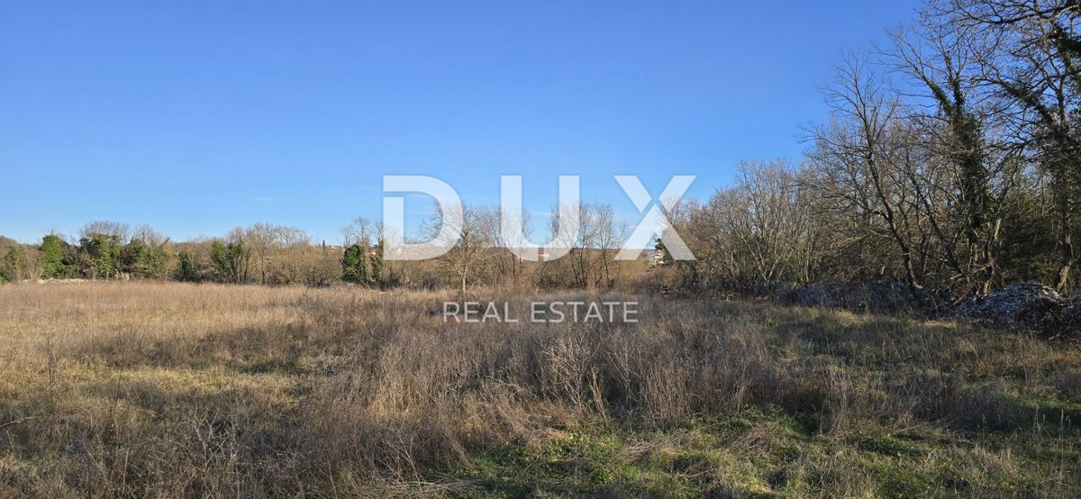 ISTRIA, BALE - Ampio terreno edificabile, ideale per investimento