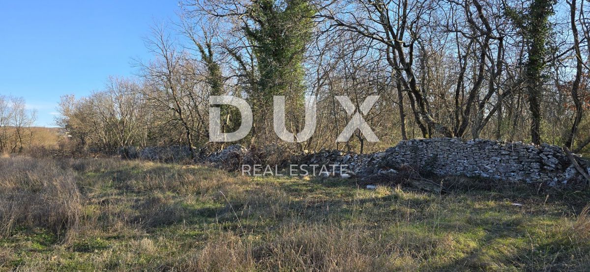 ISTRIA, BALE - Ampio terreno edificabile, ideale per investimento