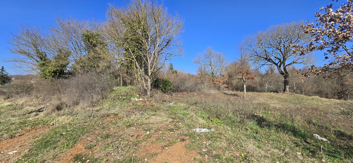 ISTRIA, SVETA KATARINA, PEDANA - terreno edificabile 1855m2 