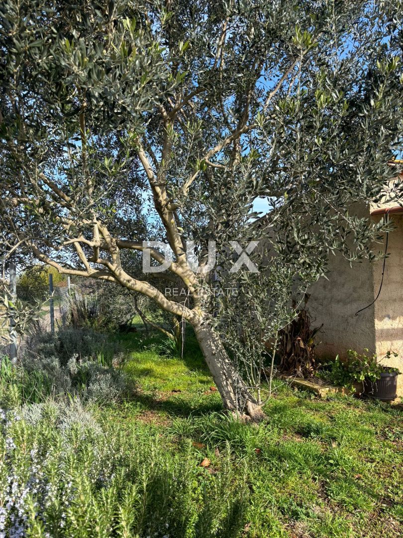 ISTRIA, POLA, BANJOLE - La storia di una vacanza di fine settimana!