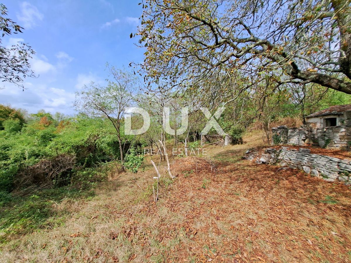 ISTRIA, GROŽNJAN, DINTORNI - casa antica da ristrutturare con terreno di 60.000 m²