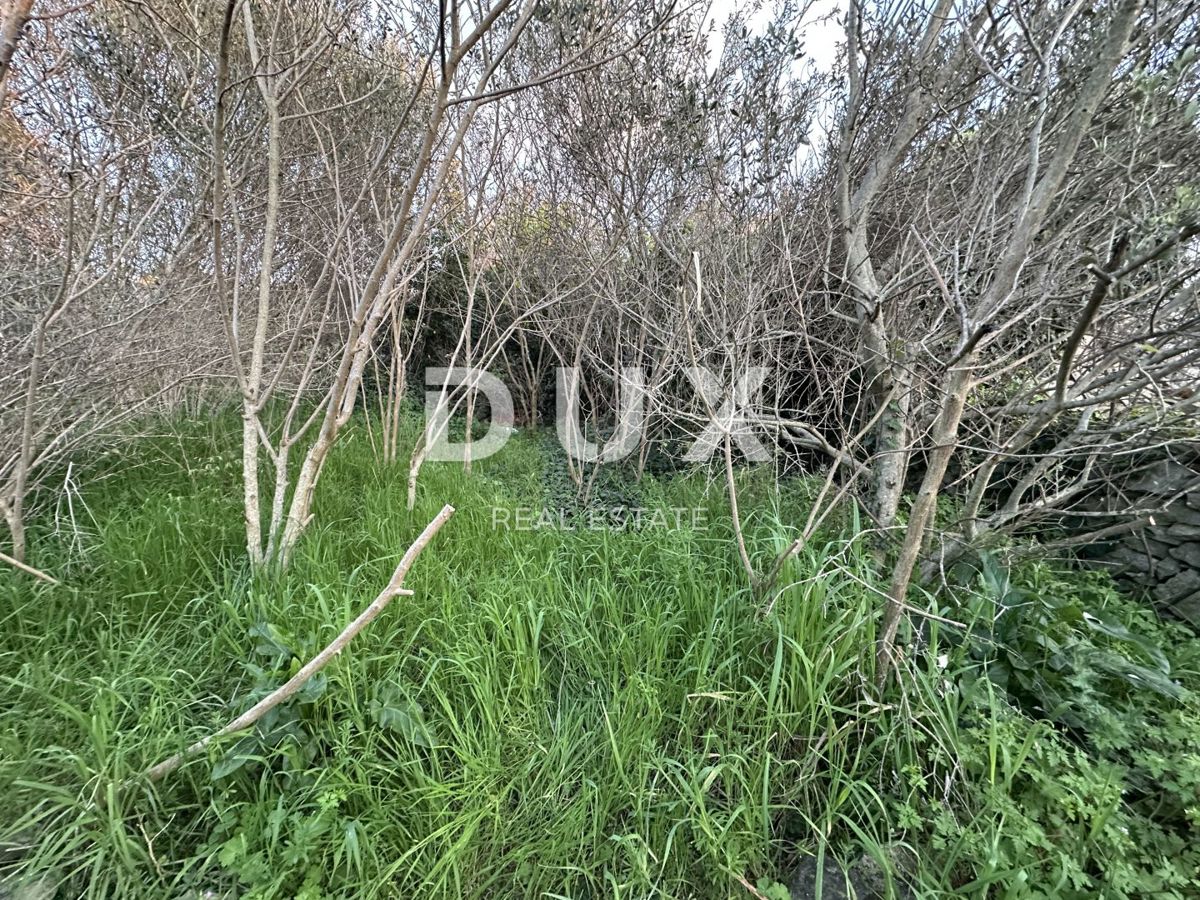 ZADAR, BOKANJAC - Vecchia casa con terreno edificabile 307m²