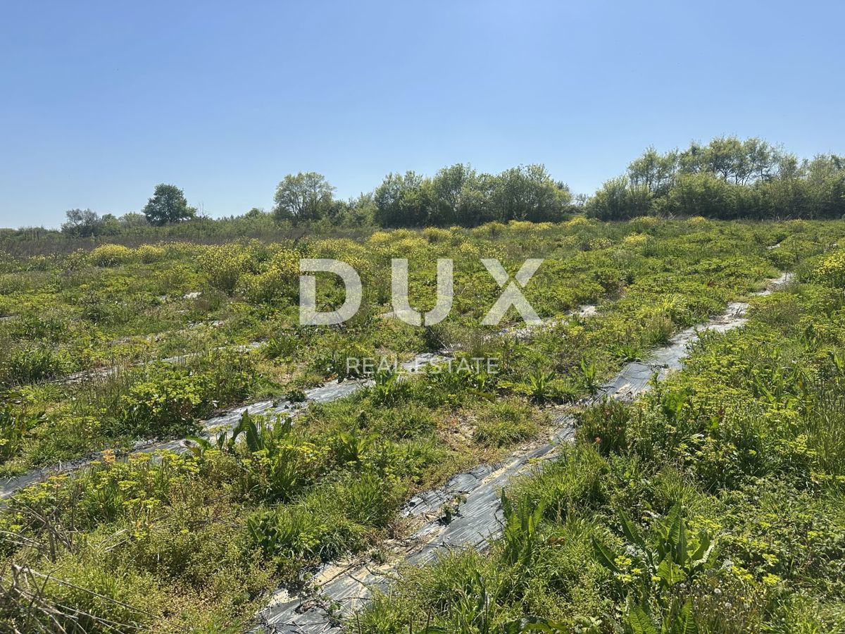 ZADAR, MURVICA - Terreno agricolo con potenziale - 3000m²