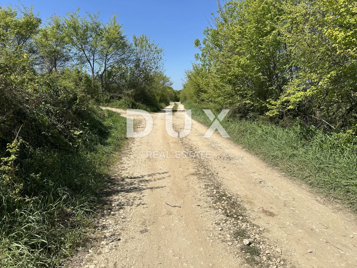 ZADAR, MURVICA - Terreno agricolo con potenziale - 3000m²