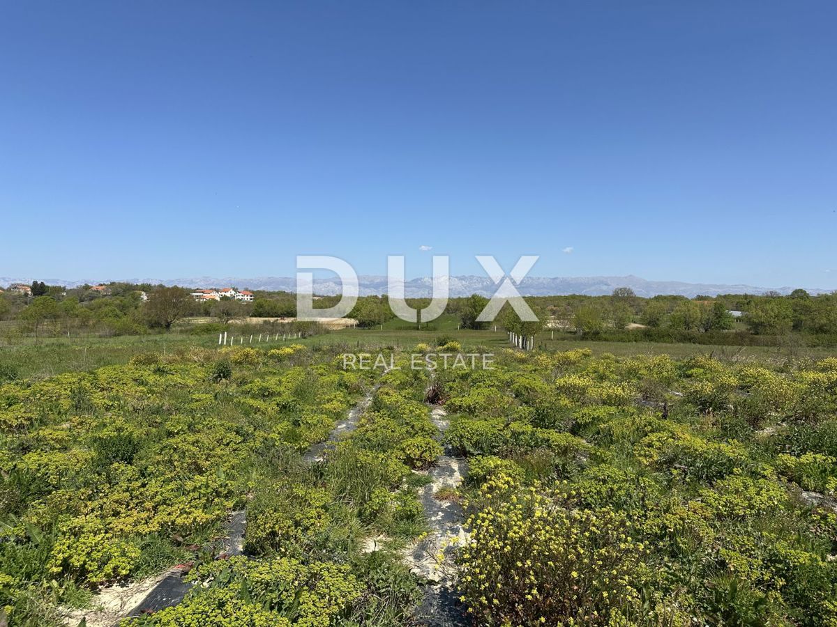 ZADAR, MURVICA - Terreno agricolo con potenziale - 3000m²