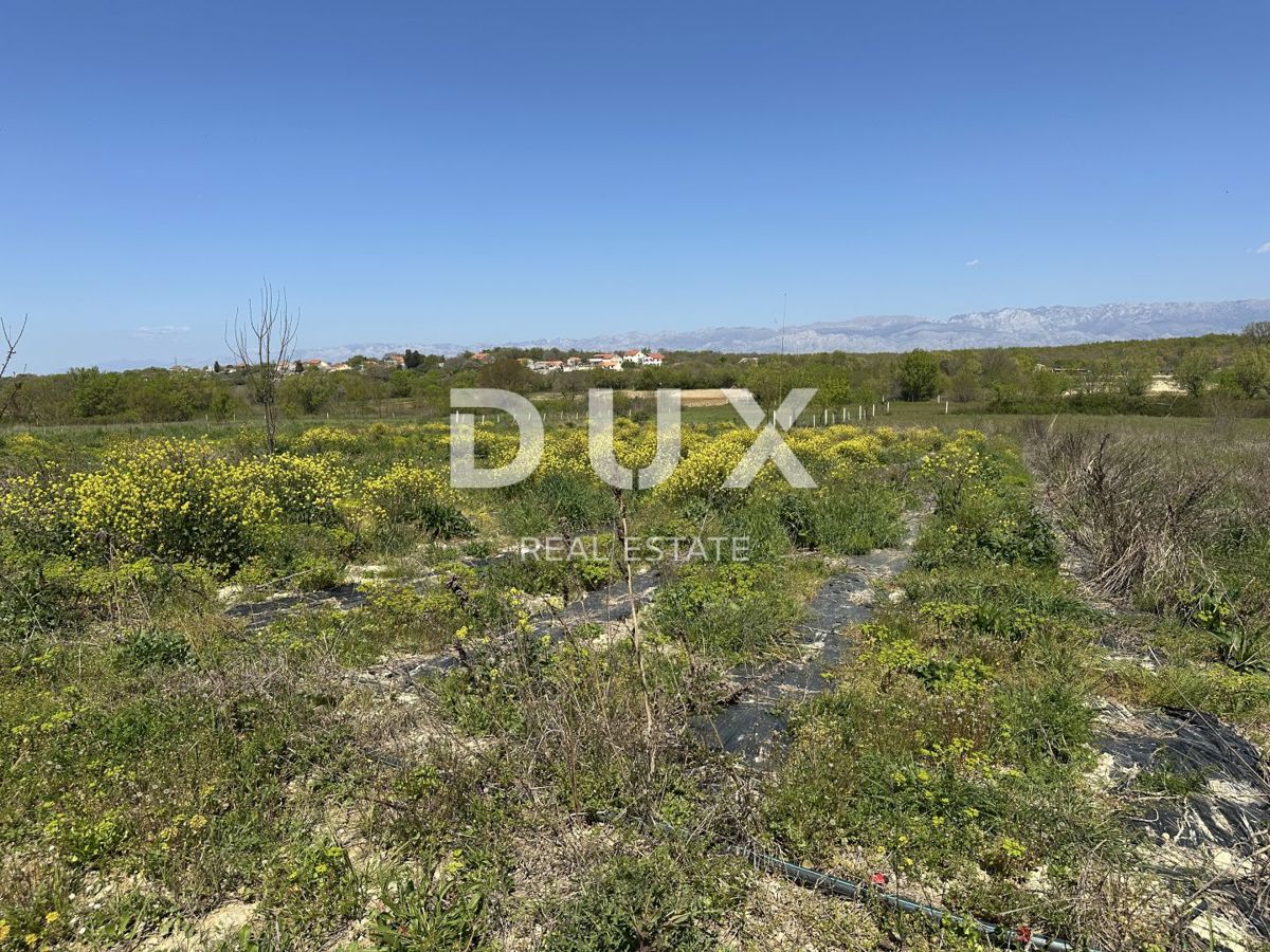 ZADAR, MURVICA - Terreno agricolo con potenziale - 3000m²