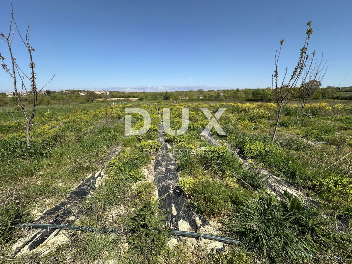 ZADAR, MURVICA - Terreno agricolo con potenziale - 3000m²