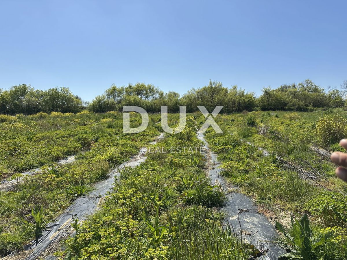 ZADAR, MURVICA - Terreno agricolo con potenziale - 3000m²