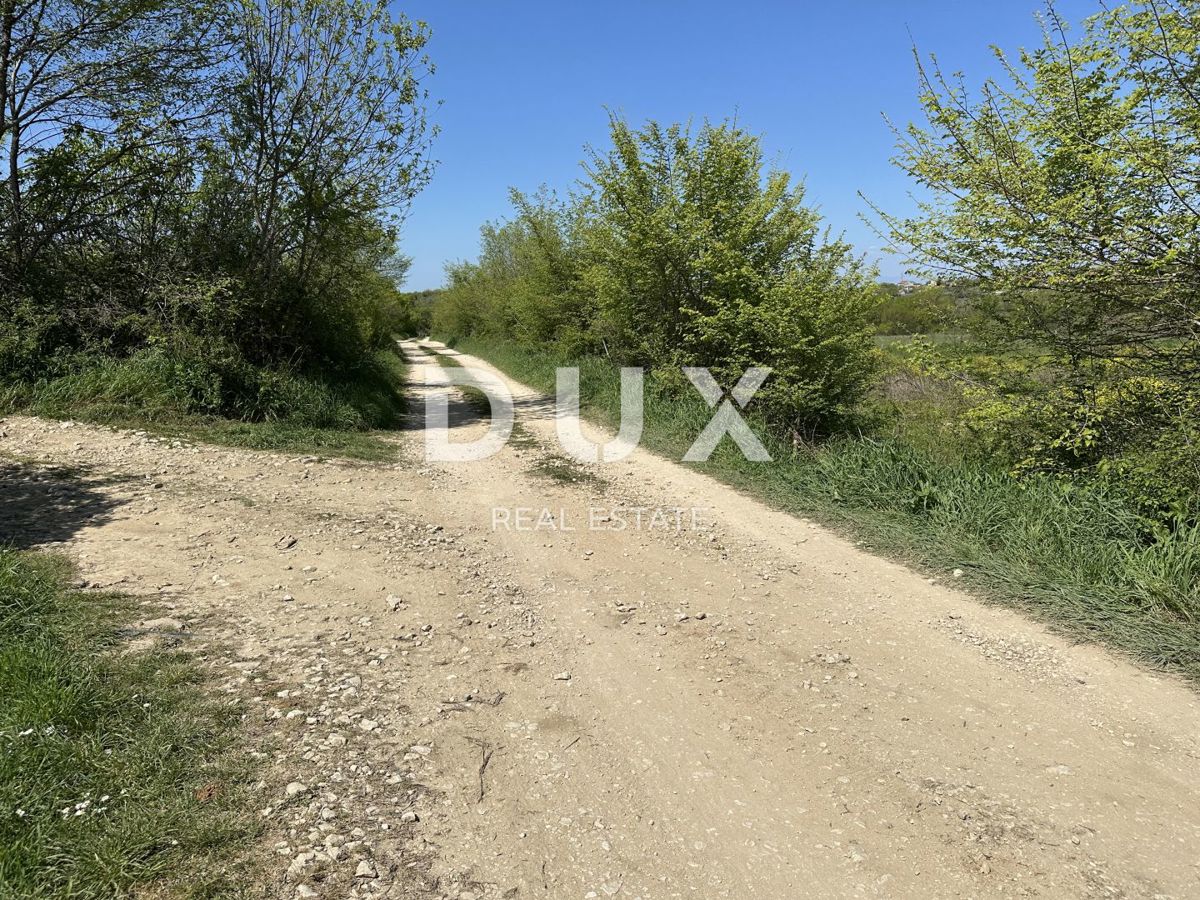 ZADAR, MURVICA - Terreno agricolo con potenziale - 3000m²