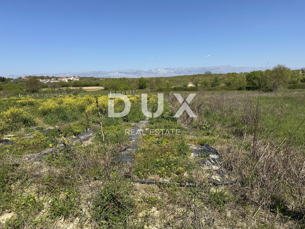 ZADAR, MURVICA - Terreno agricolo con potenziale - 3000m²