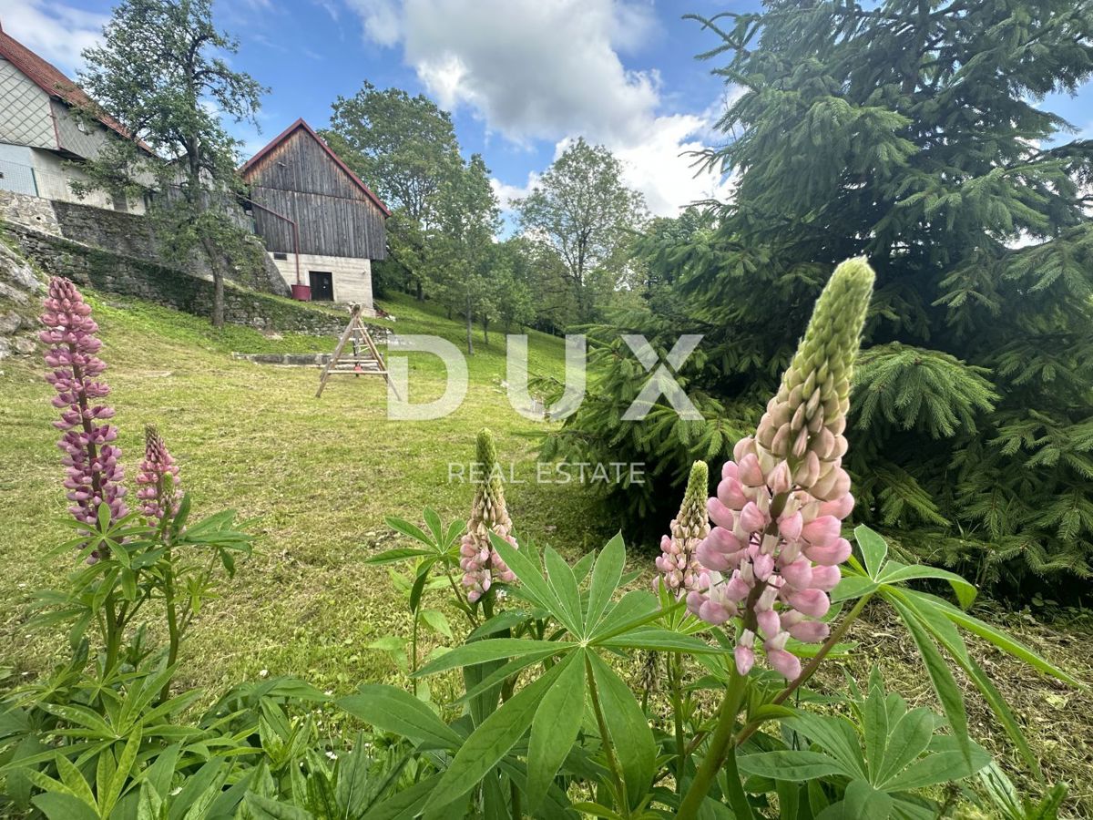 GORSKI KOTAR - Casa vacanze Gorski Kotar splendidamente decorata