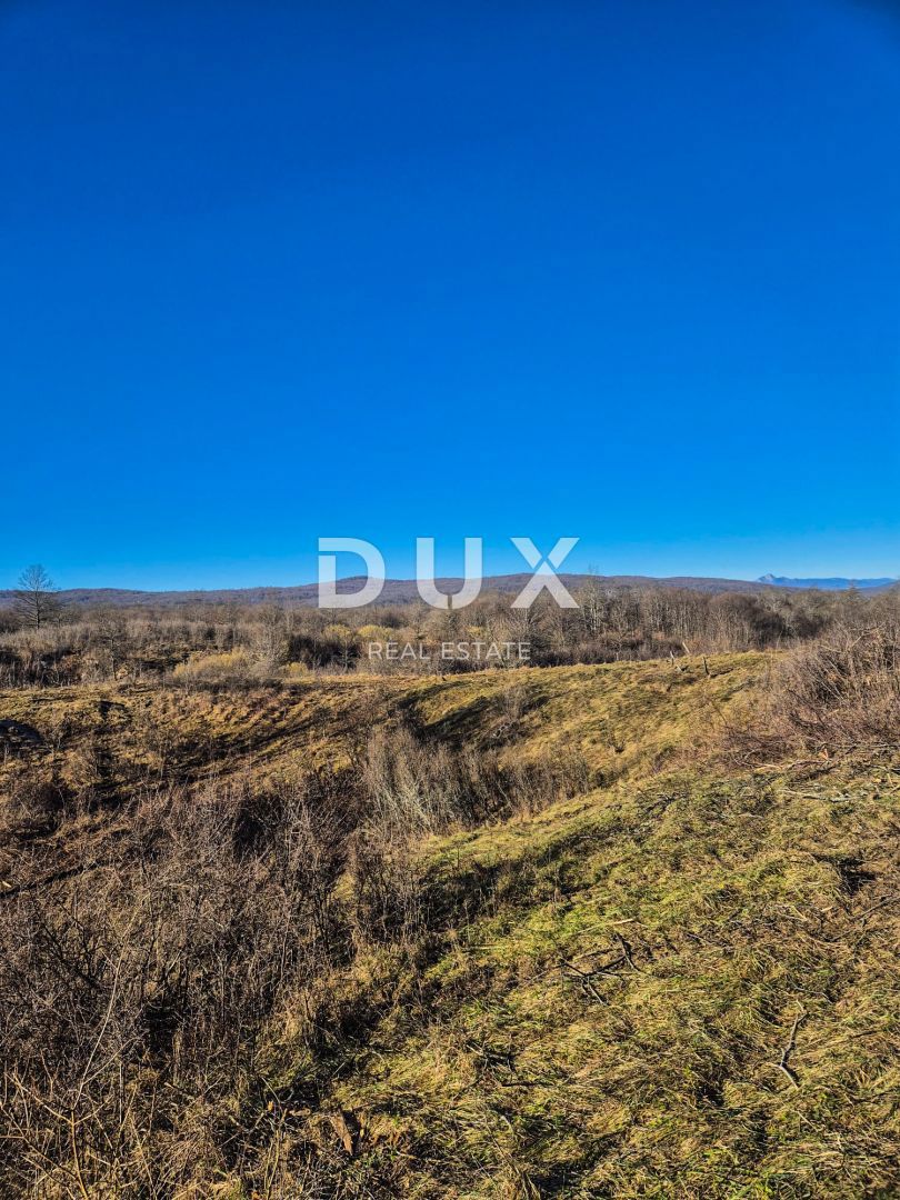 TRŽIĆ TOUNJSKI - Grande appezzamento di terreno con case in rovina - 100.000 m2 in un unico pezzo!