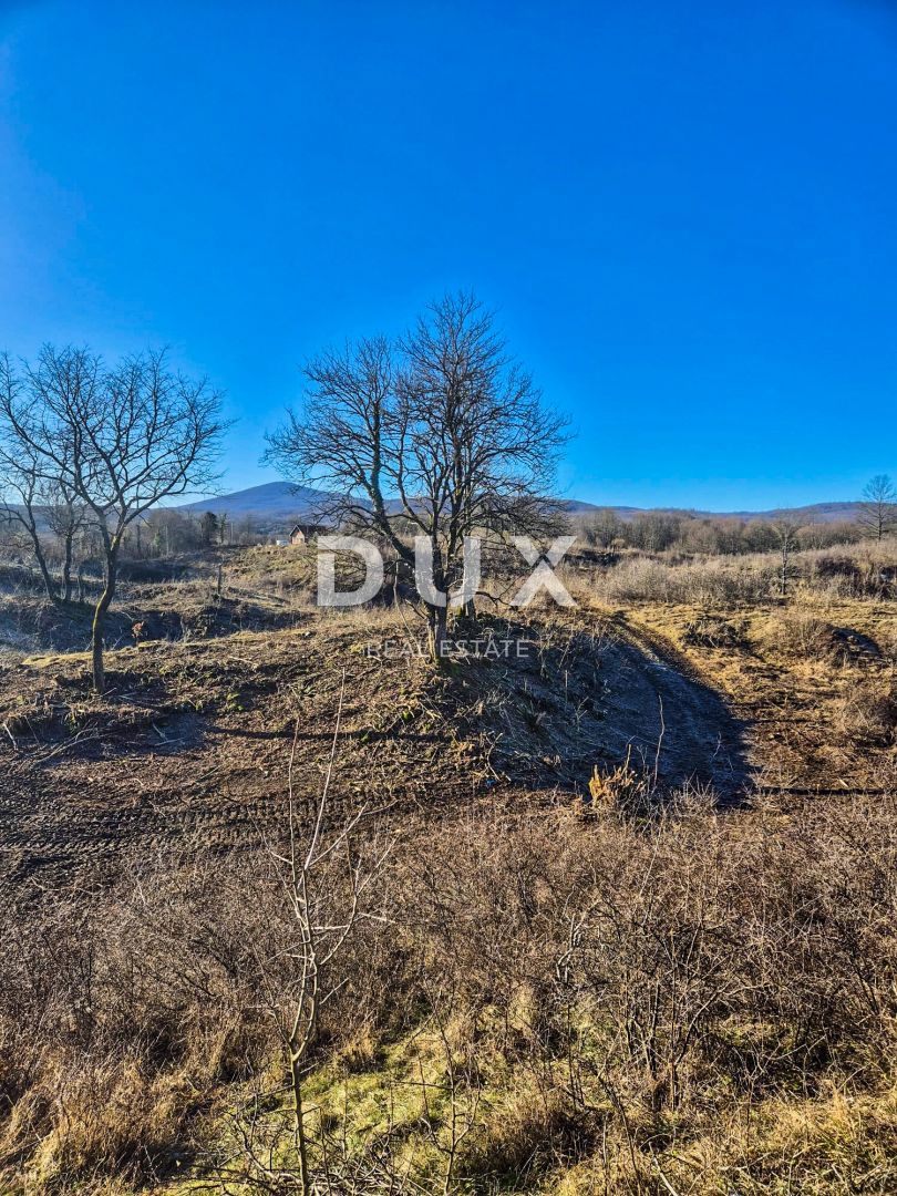 TRŽIĆ TOUNJSKI - Grande appezzamento di terreno con case in rovina - 100.000 m2 in un unico pezzo!
