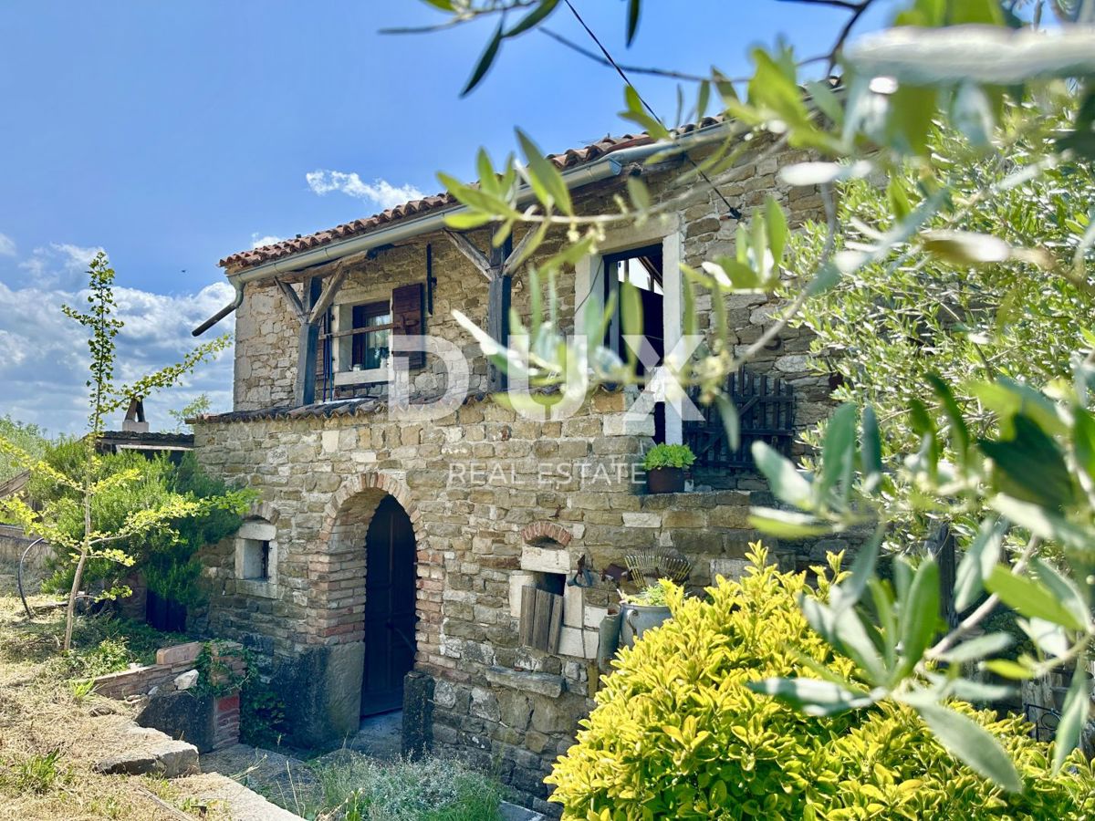 ISTRIA, BUIE - NOVITÀ - Casa d'artista con vista panoramica