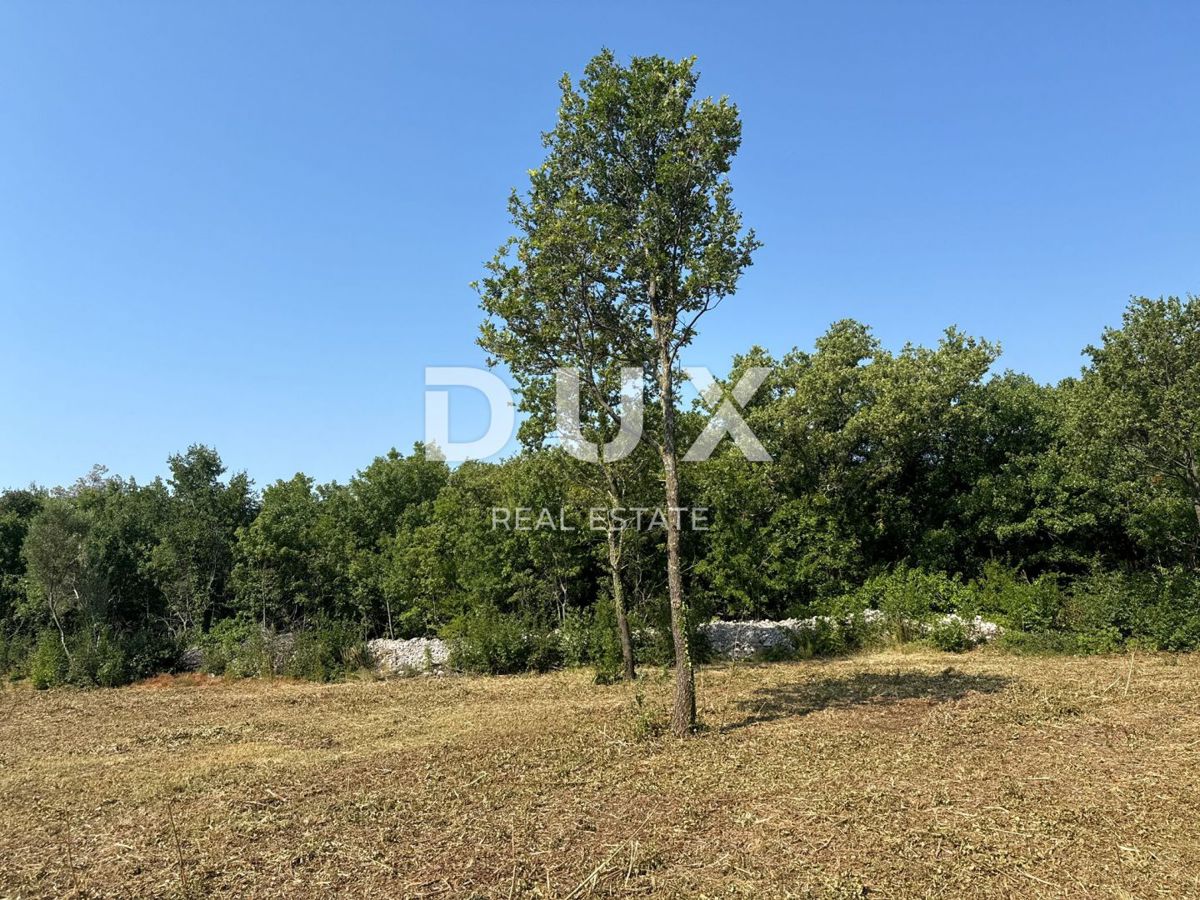 ISTRIA,ALBONA (DINORDIENZA) - Terreno edificabile vicino al mare con vista