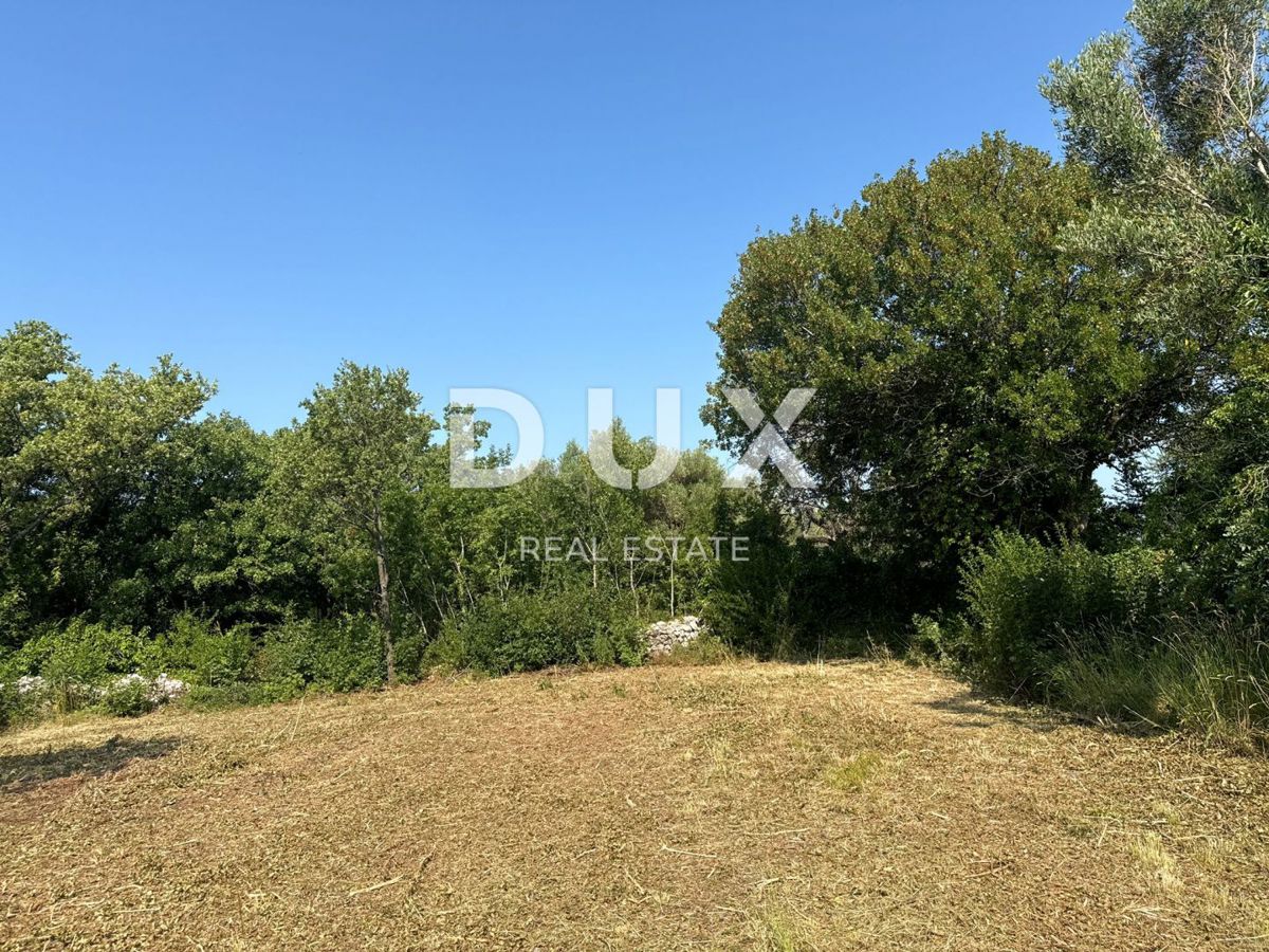 ISTRIA,ALBONA (DINORDIENZA) - Terreno edificabile vicino al mare con vista