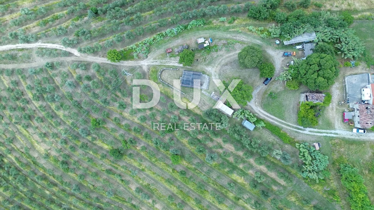 ISTRIA, MONTONA - Una favolosa opportunità di investimento nel cuore dell'Istria, terreno con edificio in pietra