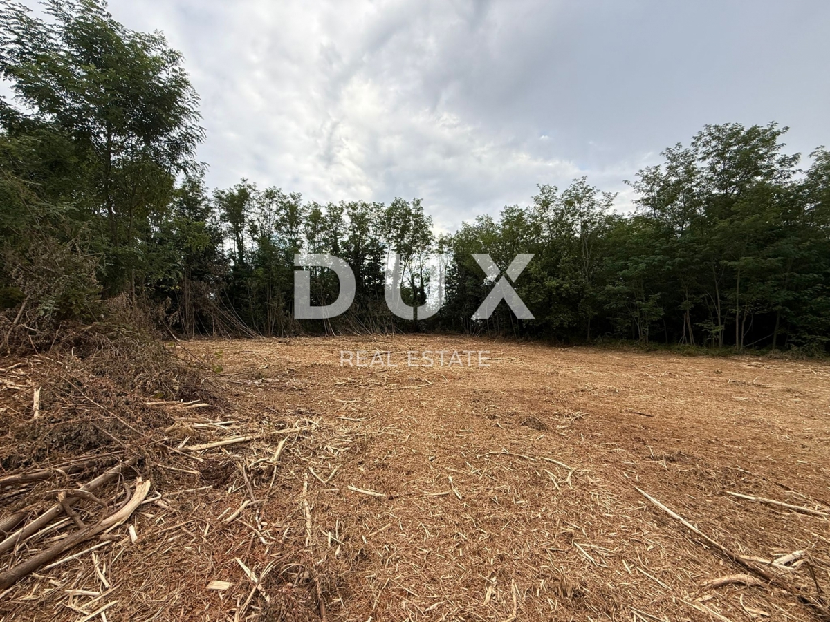 ISTRIA,ALBONA - Terreno edificabile in posizione privilegiata