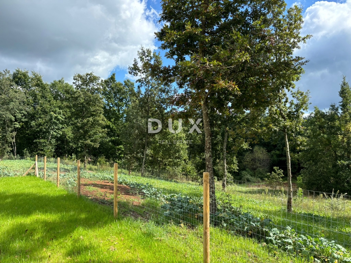 ISTRIA, PAZIN - Magica villa mediterranea con vista sulla natura - nuova costruzione! Stile unico!