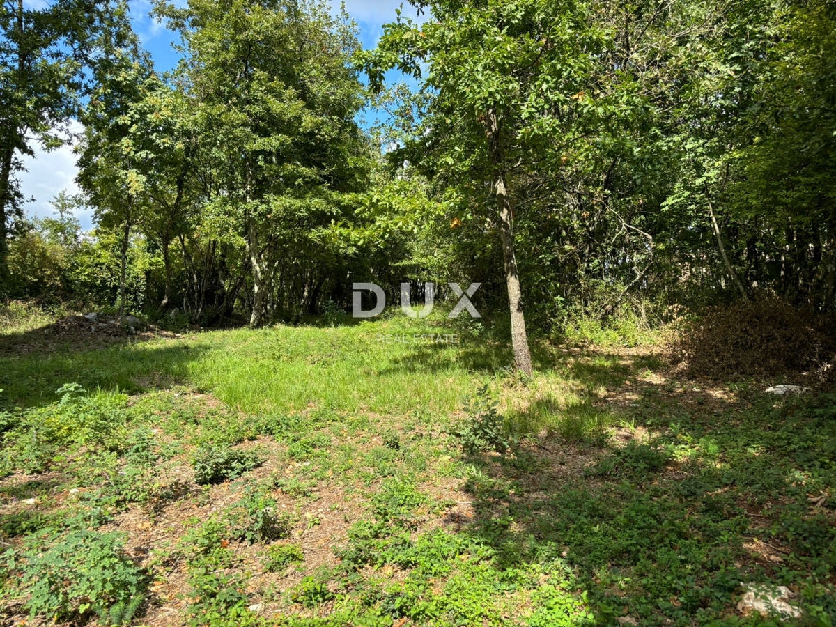 ISTRIA, Gračišće (dintorni) - Terreno edificabile con privacy e tanto verde!
