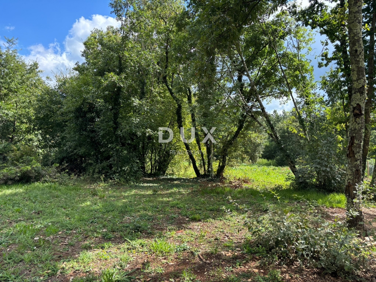 ISTRIA, Gračišće (dintorni) - Terreno edificabile con privacy e tanto verde!