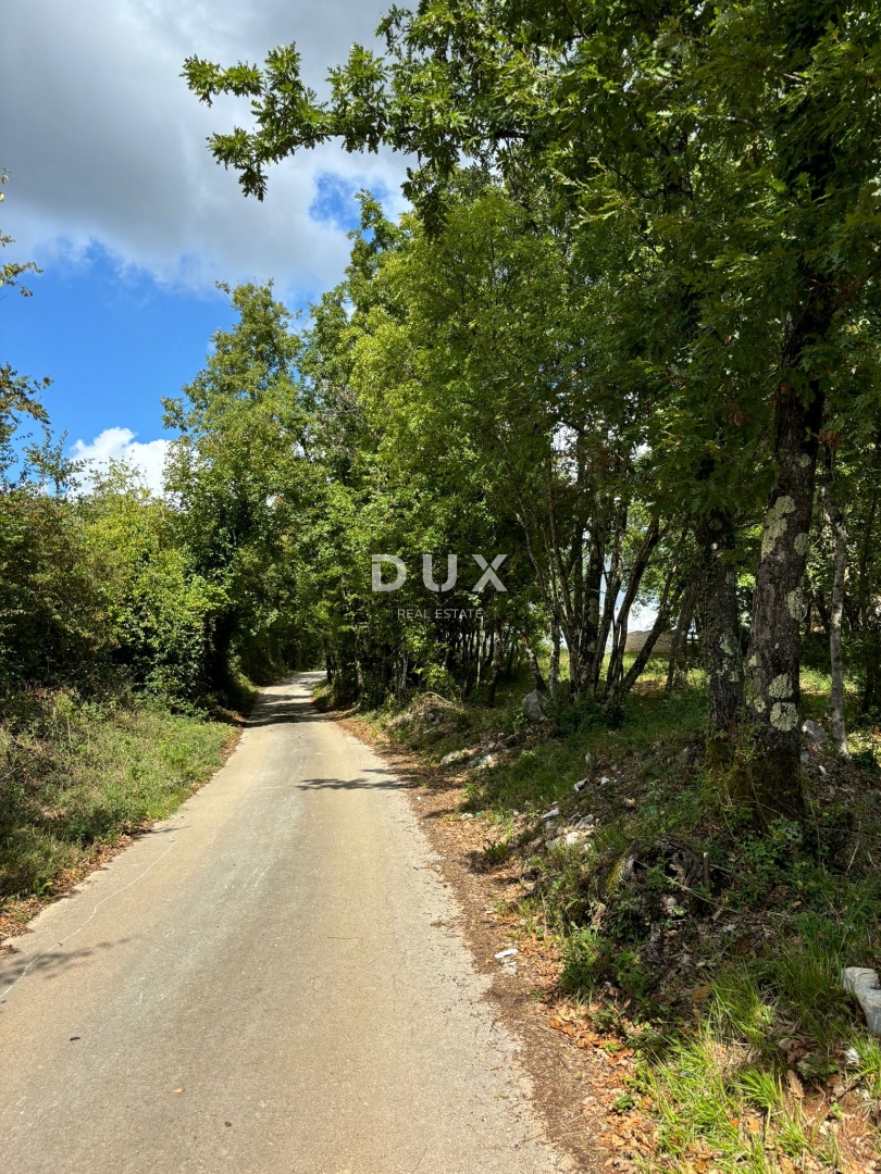 ISTRIA, Gračišće (dintorni) - Terreno edificabile con privacy e tanto verde!
