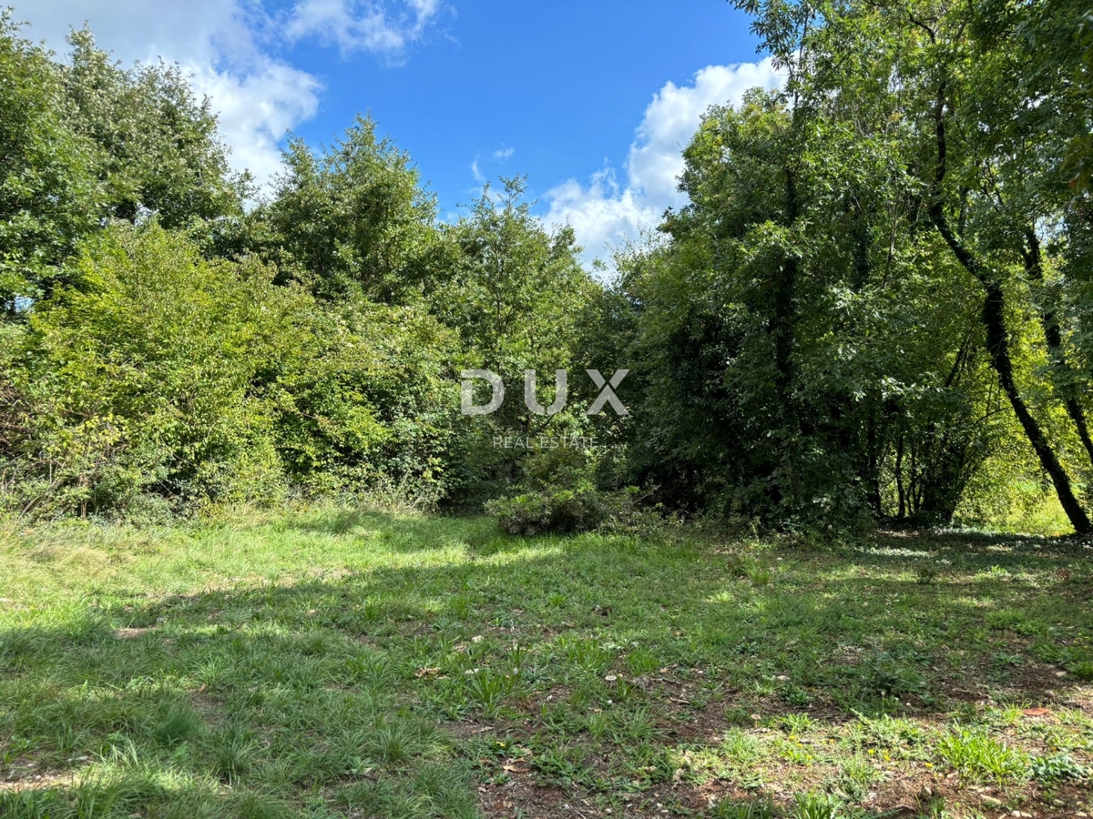 ISTRIA, Gračišće (dintorni) - Terreno edificabile con privacy e tanto verde!