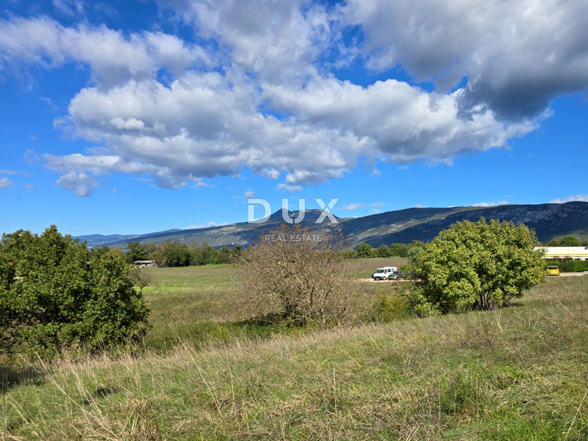 ISTRIA, ALBONA - Ampio terreno edificabile urbanizzato