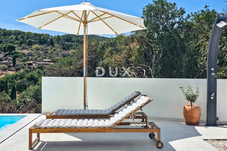 DUGI OTOK, ŽMAN - villa di lusso con piscina e appartamento separato