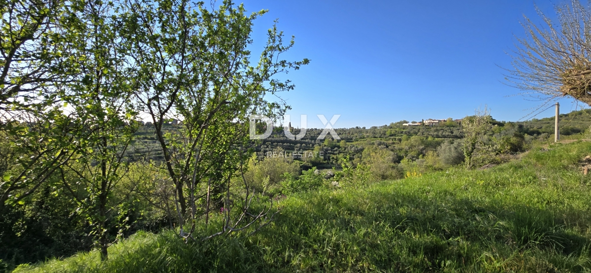 ISTRIA, MOMJAN – ELEGANTI CASE IN PIETRA CON PROGETTO