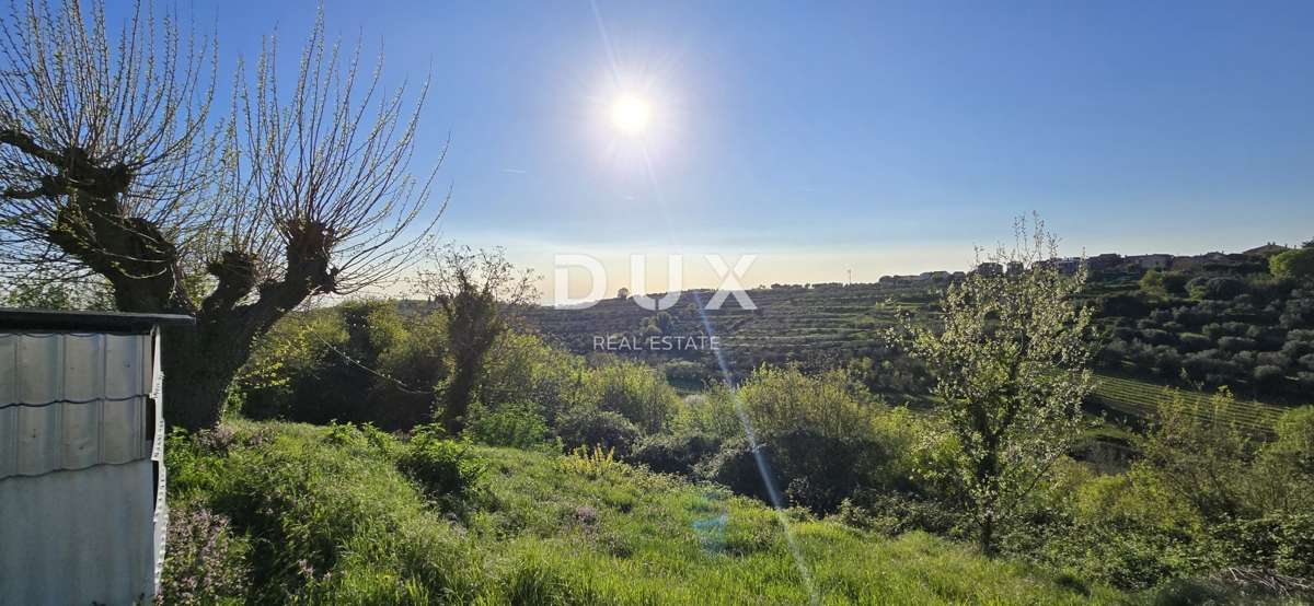 ISTRIA, MOMJAN – ELEGANTI CASE IN PIETRA CON PROGETTO