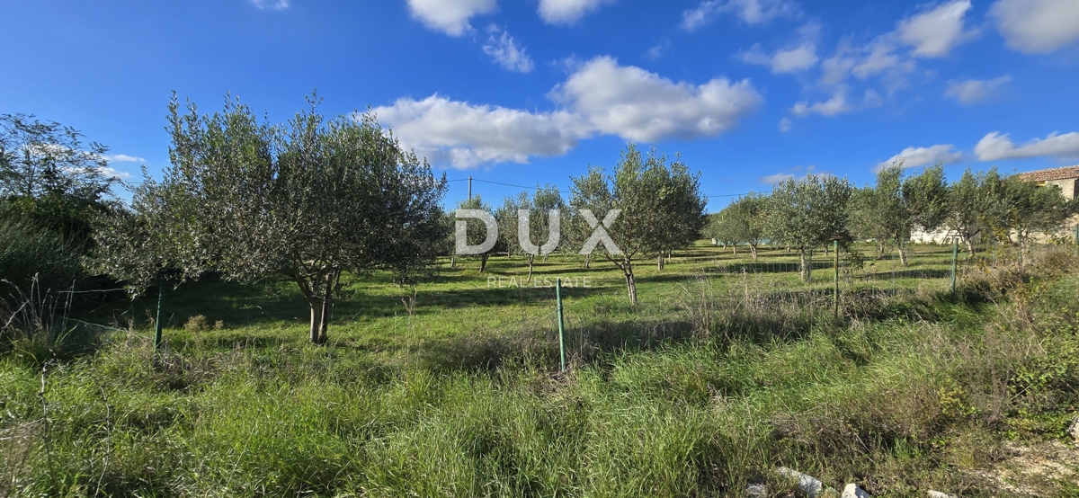 ISTRIA, PARENZO - Terreno per la costruzione di due case vicino a Sveti Lovreč - pace e autenticità dell'Istria