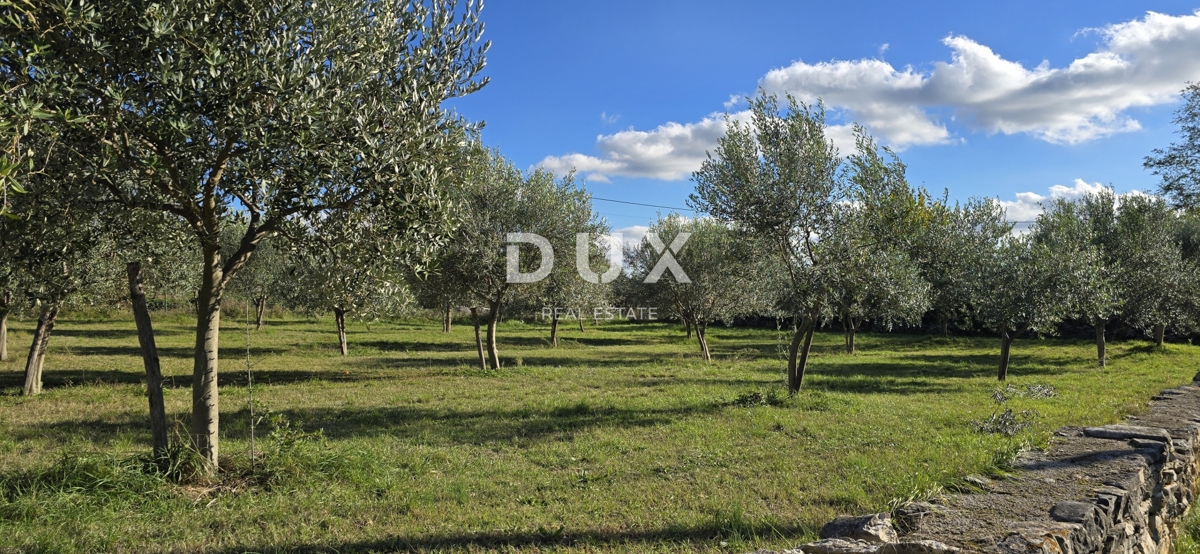 ISTRIA, PARENZO - Terreno per la costruzione di due case vicino a Sveti Lovreč - pace e autenticità dell'Istria