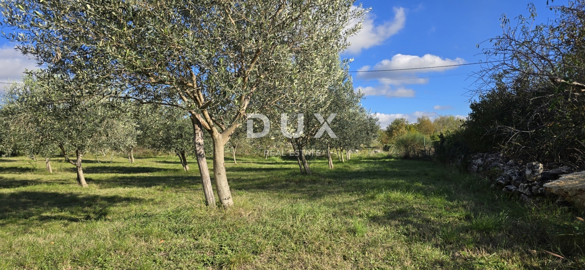 ISTRIA, PARENZO - Terreno per la costruzione di due case vicino a Sveti Lovreč - pace e autenticità dell'Istria