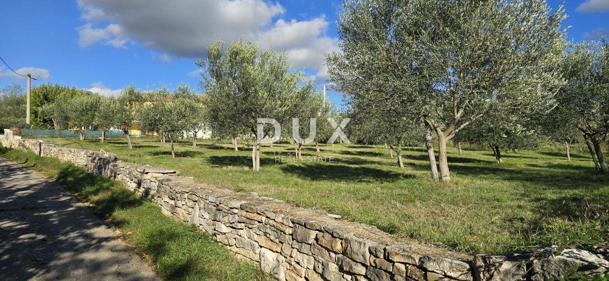 ISTRIA, PARENZO - Terreno per la costruzione di due case vicino a Sveti Lovreč - pace e autenticità dell'Istria