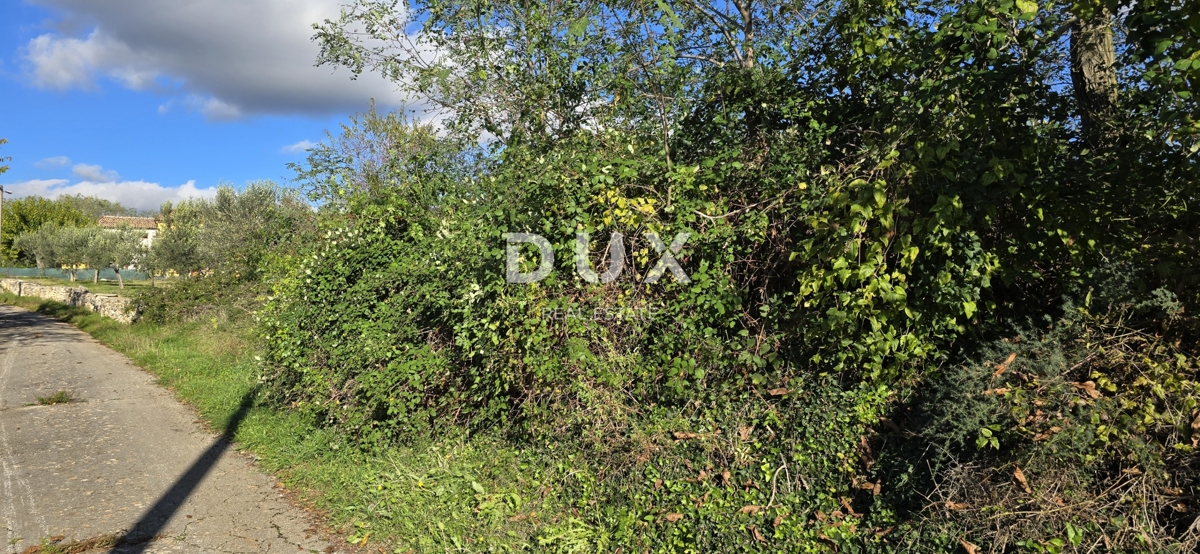 ISTRIA, PARENZO - Terreno per la costruzione di due case vicino a Sveti Lovreč - pace e autenticità dell'Istria