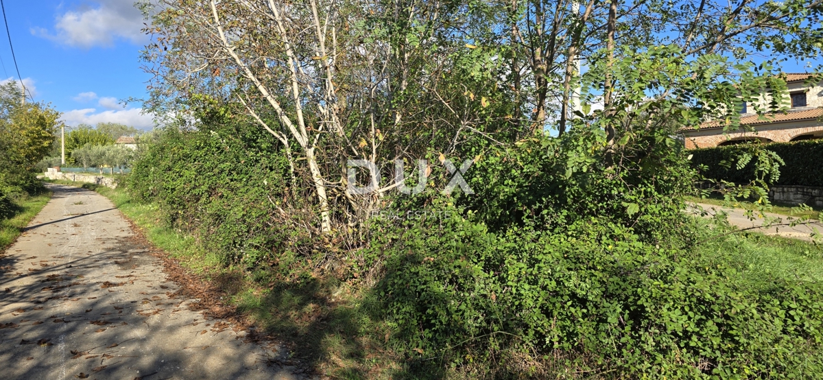 ISTRIA, PARENZO - Terreno per la costruzione di due case vicino a Sveti Lovreč - pace e autenticità dell'Istria
