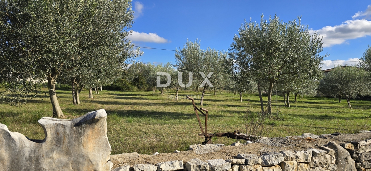 ISTRIA, PARENZO - Terreno per la costruzione di due case vicino a Sveti Lovreč - pace e autenticità dell'Istria