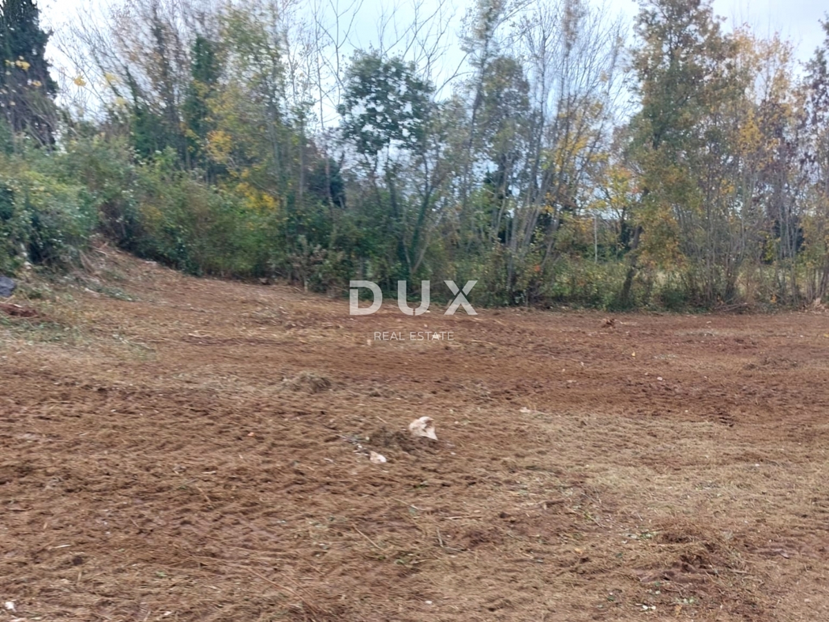 ISTRIA, ALBONA - Ampio terreno edificabile